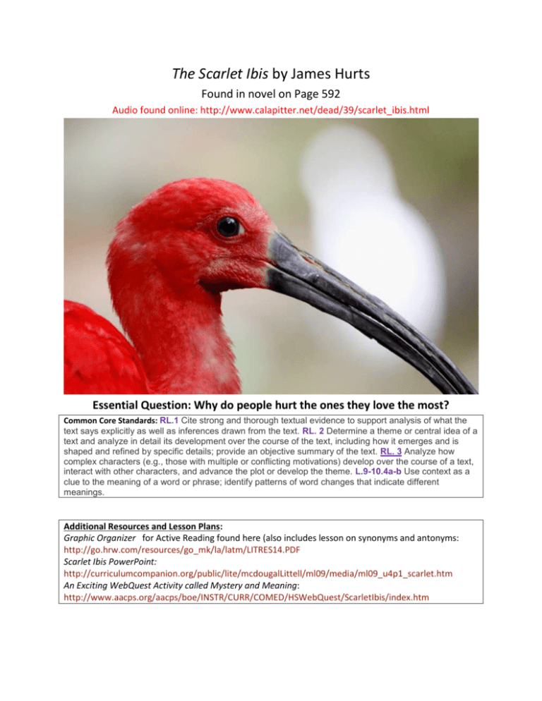 scarlet ibis pride essay