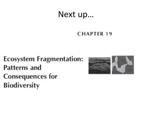 Landscape analysis of ecosystem diversity