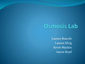 Osmosis Lab