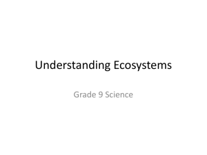 Understanding Ecosystems