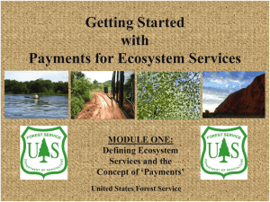 Defining Ecosystem Services and the Concept of 'Payments'