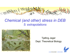 (and other) stress in DEB. 5: extrapolations