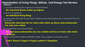 Organization of Living Things, Mitosis, Cell Energy Test Review