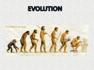 Z: Evidence o Evolution