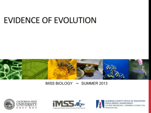 here - IMSS Biology 2014