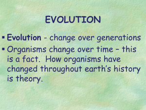 Evolution - snavelybio
