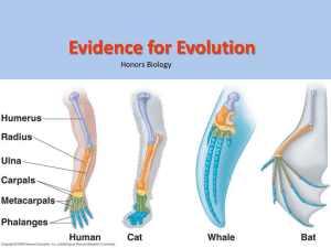 Evidence for Evolution - Ms Kim's Biology Class