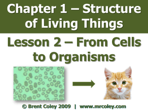 Chapter 1 – Structure of Living Things