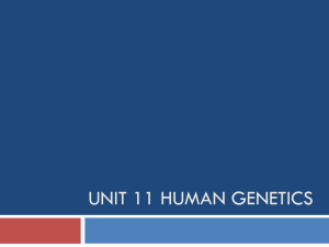 Unit 11 Human Genetics condensed with warm