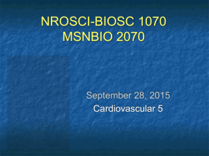 nrosci-biosc 1070 & 2070 - Honors Human Physiology