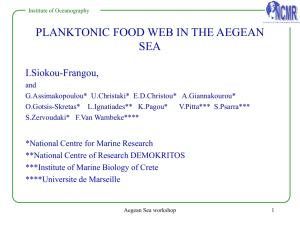 "Pelagic food web in the Aegean Sea"