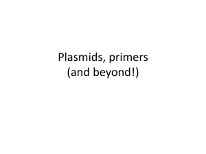 Plasmids, primers (and beyond!)