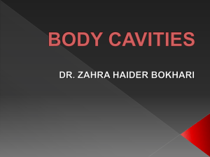 Body Cavities by Dr Zahra Haider Bokhari