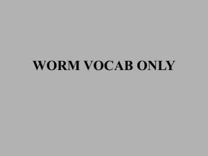 worm vocab only - local.brookings.k12.sd.us