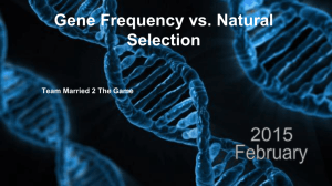 Gene Frequency vs. Natural Selection