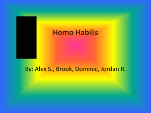 Homo-Habilis1