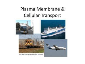 Cell_transport_notes