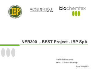 NER300 - BEST Project - IBP SpA