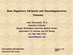Gene Regulatory Networks - George Washington University