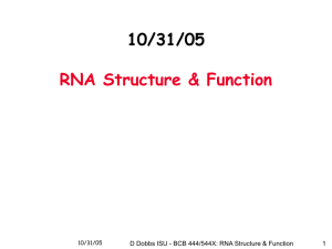 RNA structure & function