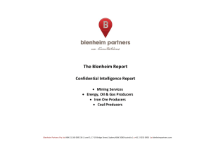 introduction - Blenheim Partners
