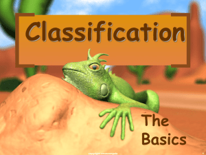 What is Classification?