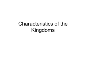 Characteristics of the Kingdoms