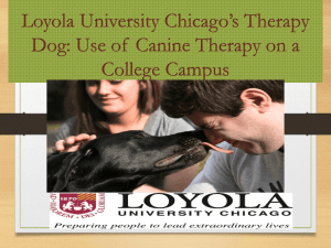 Loyola University Chicago*s Therapy Dog: Use of Canine Therapy
