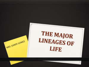THE MAJOR LINEAGES OF LIFE
