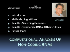 Russell-2009-01-RNA-BCMB - RNA