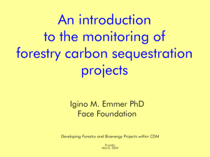 Monitoring forest carbon - Capacity Development for the CDM