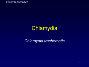 Chlamydia PowerPoint