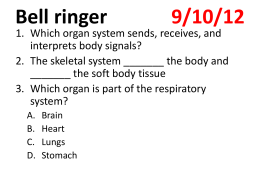 Digestive And Excretory Systems Section 38 1 Food And Nutrition Answers
