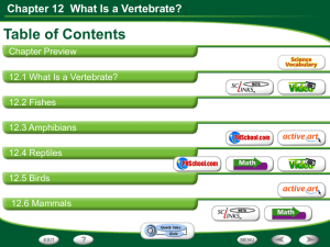 Chapter 12 What Is a Vertebrate?