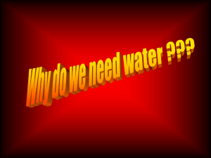 What are some ways to conserve water?