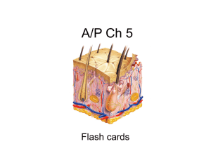 ap ch5 Flash Cards