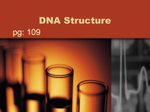 BIOL- DNA notes