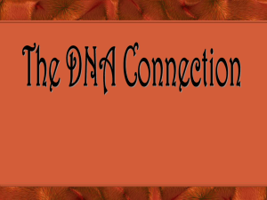 DNA connection