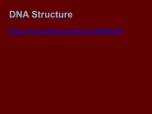 Chapter 9 DNA powerpoint