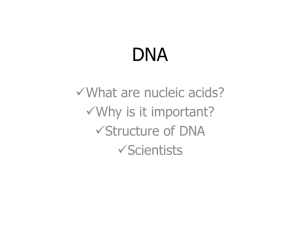DNA - mbhsbiology