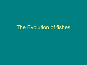 Evolution of Fishes