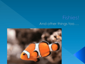 Fishies-Slideshow - Chaparral Star Academy