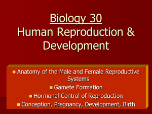 Biology 30 Human Reproduction & Development