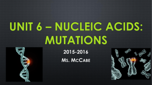 Unit 6 * Nucleic Acids: Mutations