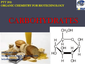 Lecture: Carbohydrates