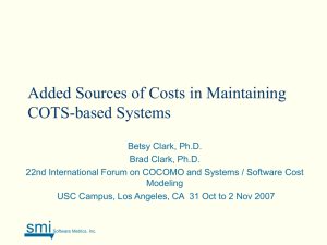 Added Sources of Costs in Maintaining COTS Systems