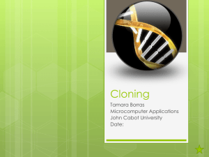 Cloning - Web Design John Cabot University