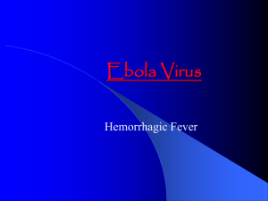 Ebola Virus (click to  file)
