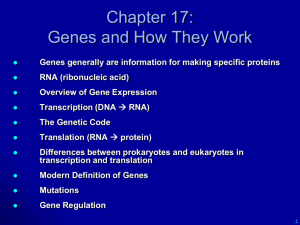 Biol 1020: Genes and how they work