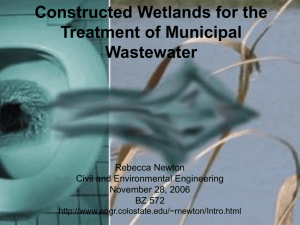 Wetland Presentation
